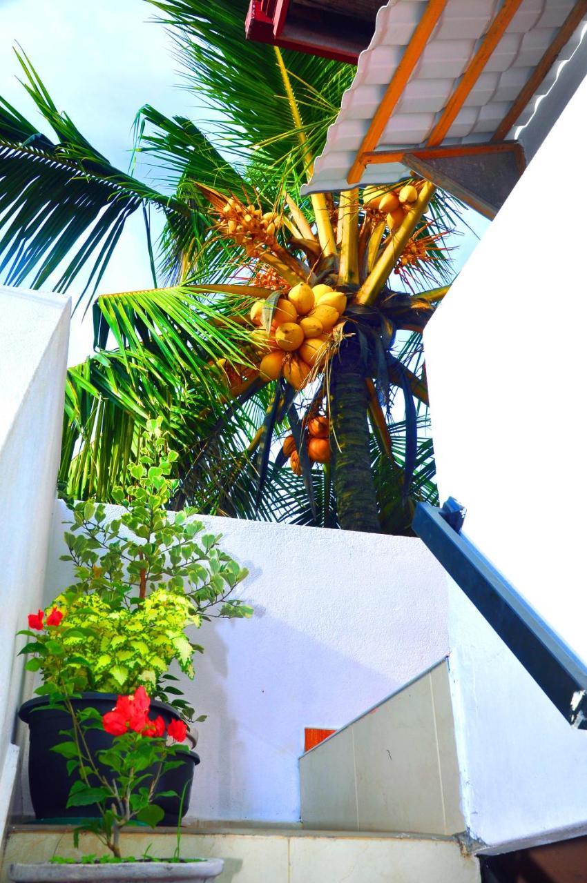 Senero House Hotell Bentota Eksteriør bilde