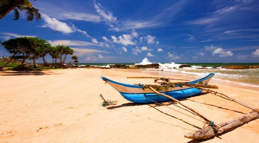 Senero House Hotell Bentota Eksteriør bilde
